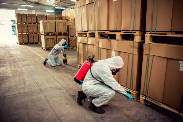 Best Emergency Pest Control  in Struthers, OH