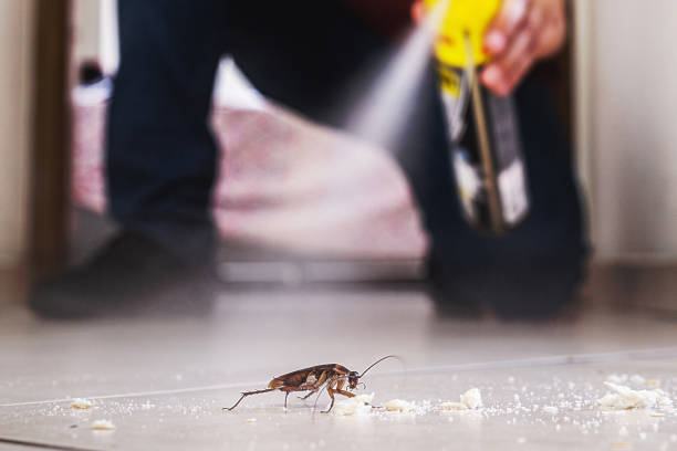 Struthers, OH Pest Control Company