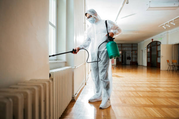 Best Insect Control  in Struthers, OH